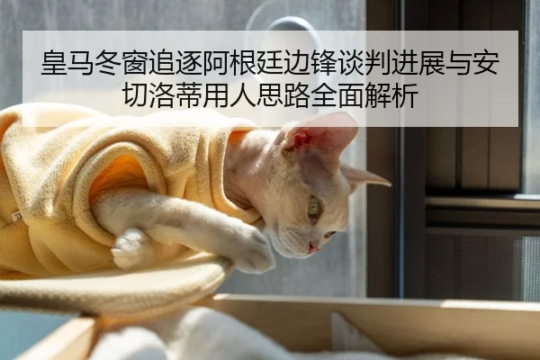 皇马冬窗追逐阿根廷边锋谈判进展与安切洛蒂用人思路全面解析 | STARSPORTS